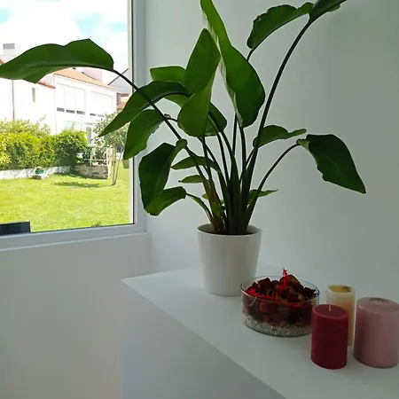 Lar Jardin - Parking Privado * Santiago de Compostela